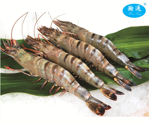 黑虎虾—Black Tiger Shrimp